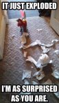 Macaw Exploding Toilet Paper.jpg