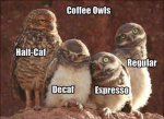 Coffee Owls.jpg