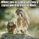 Funny Accidental Cursing In Front of Mom.jpg