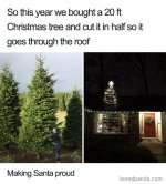 Christmas tree goes through the roof.jpeg