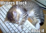 writer's_block_cat.jpg