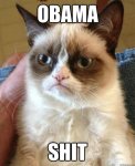grumpy cat obama shit.jpg